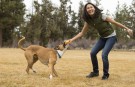 Ruffwear Top Rope™ Collar rød thumbnail