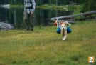 Ruffwear Approach Pack™ orange thumbnail