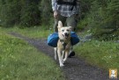 Ruffwear Approach Pack™ grønn  thumbnail
