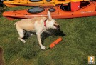 Ruffwear Lunker™ thumbnail