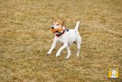 Ruffwear Gourdo™ thumbnail