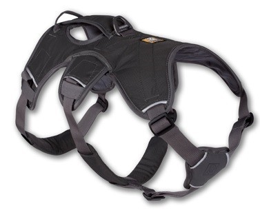 Ruffwear Web master™ sele Grå