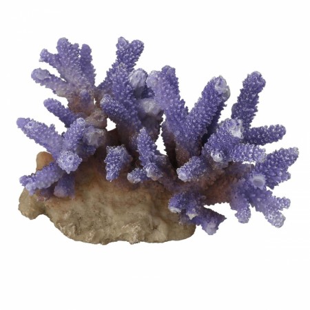 Koral Acropora Lilla 15,5x12x10cm